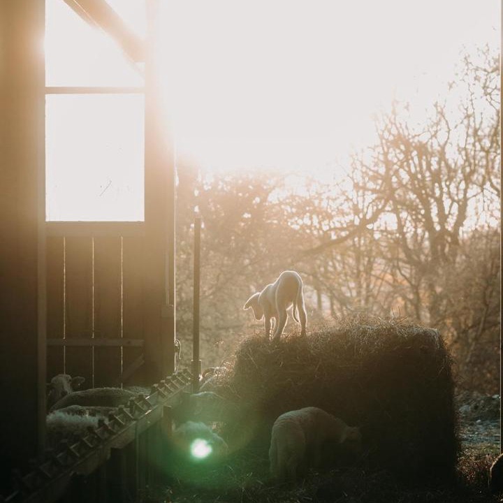 Photo of Others in Roumare