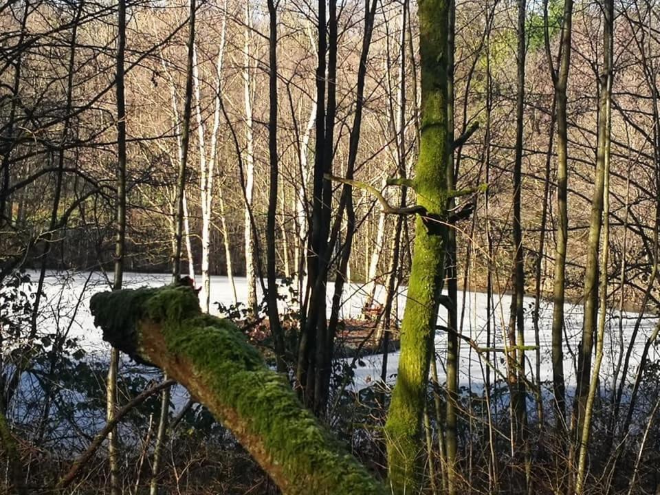 Photo of Others in Signy-le-Petit
