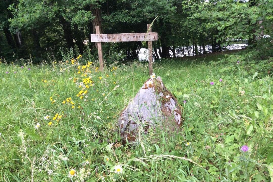Photo of Others in Signy-le-Petit