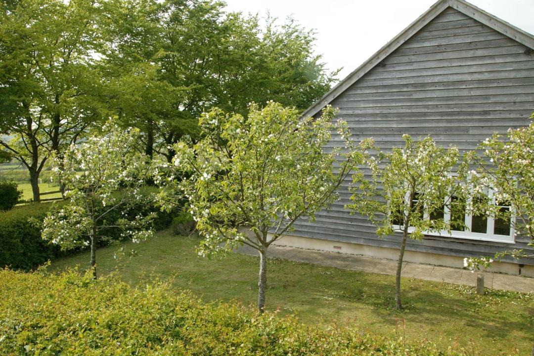 Photo of Others in Child Okeford