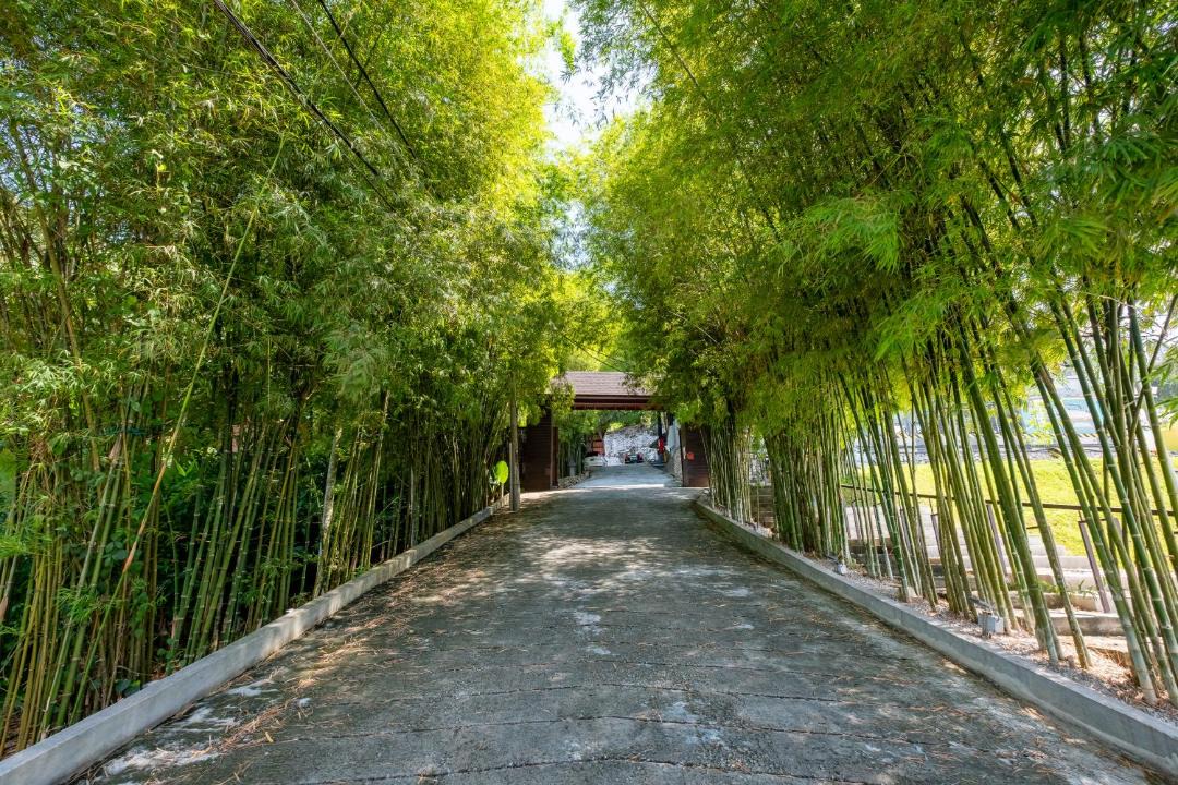 Photo of Others in Mantin