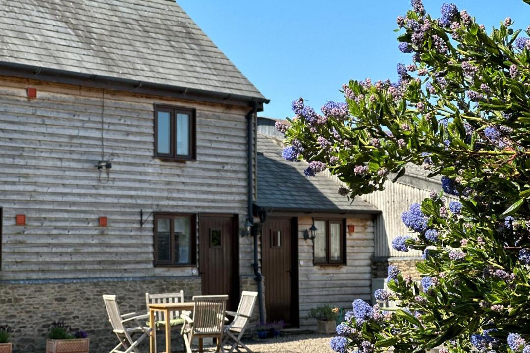 Photo of Others in Pembridge