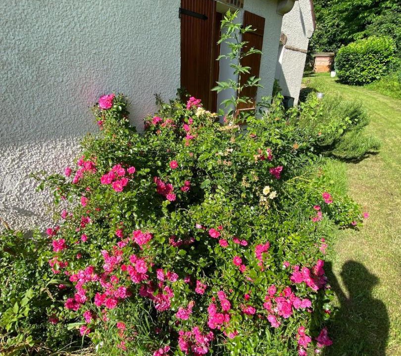 Photo of Others in Reuil-en-Brie