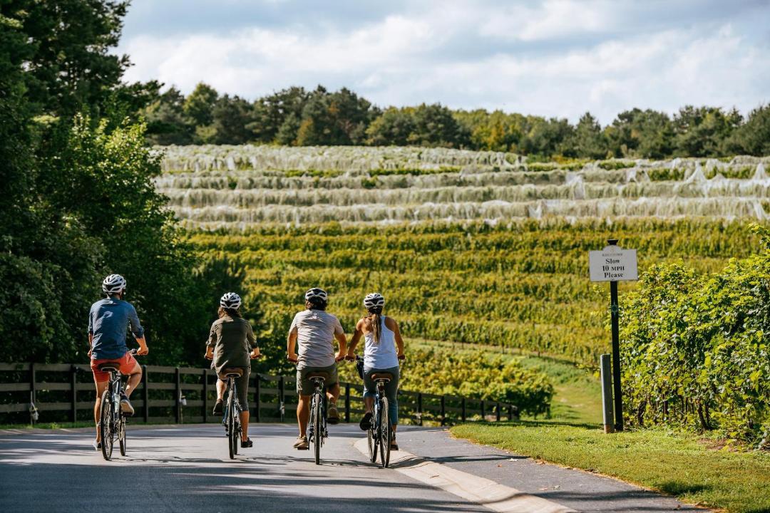 Photo of Others in Suttons Bay