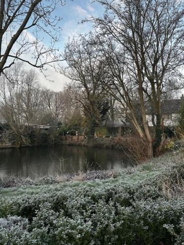 Photo of Others in Smarden