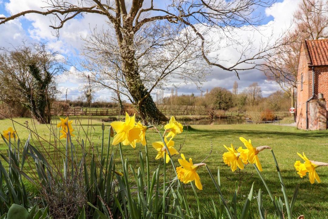 Photo of Others in Harleston