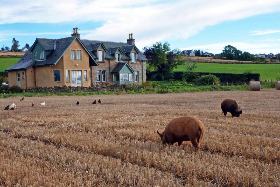 Photo of Others in Culbokie