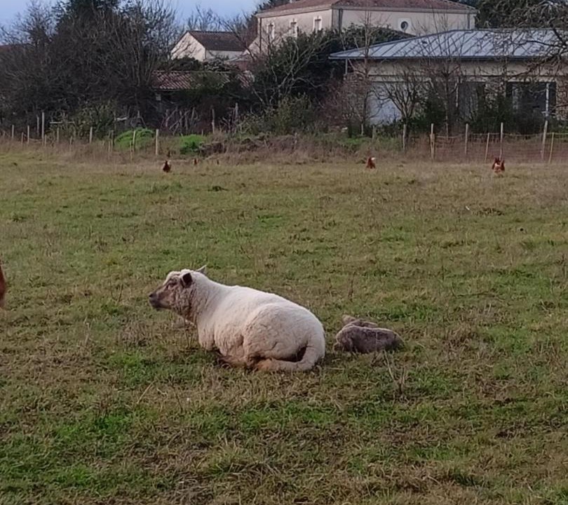 Photo of Others in La Couture