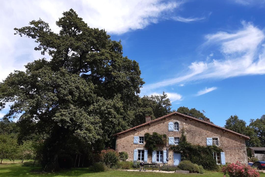 Photo of Others in Le Pin