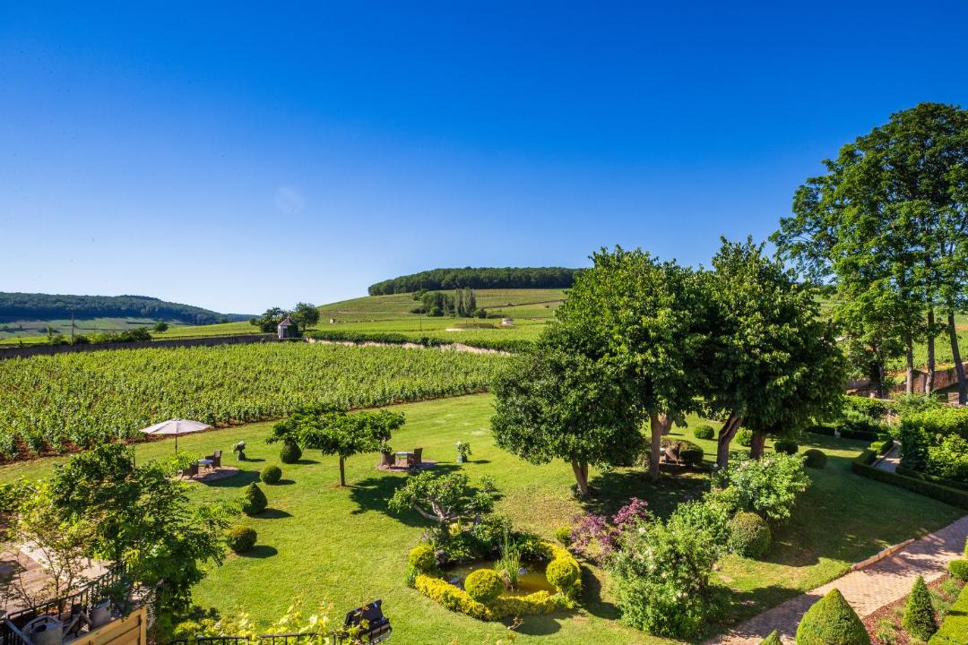 Photo of Others in Aloxe-Corton