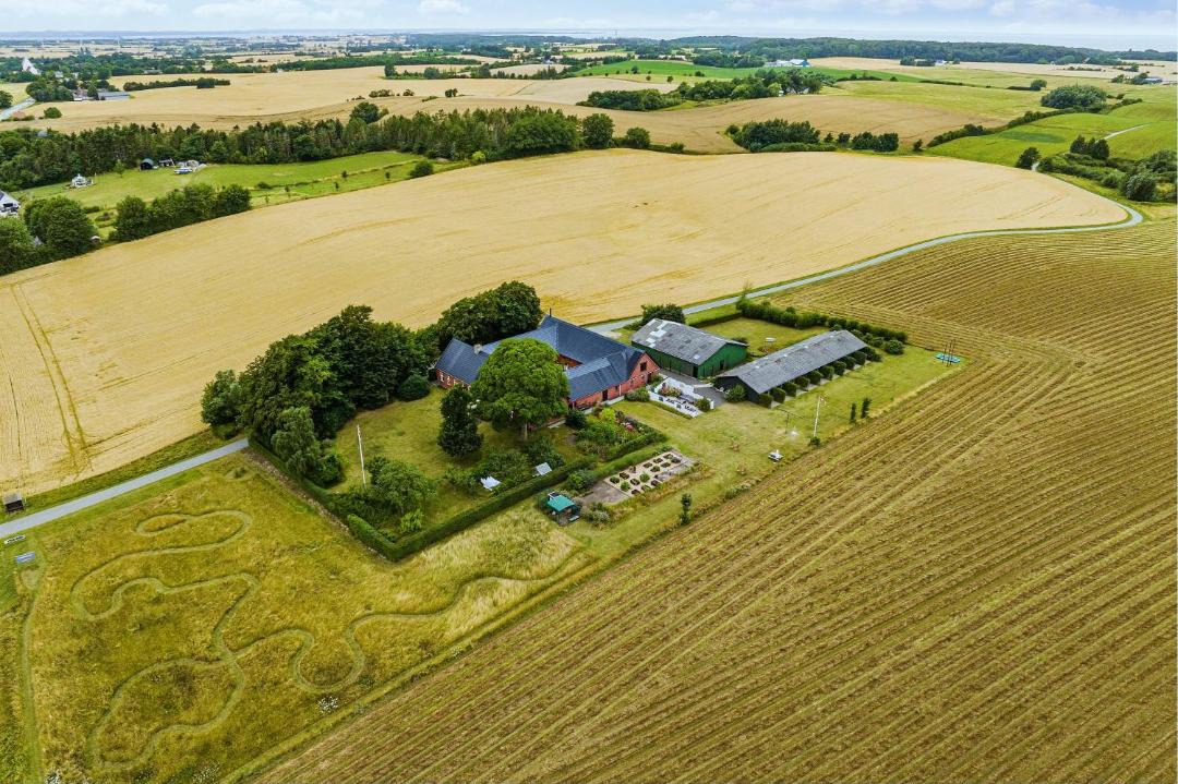 Photo of Others in Borre