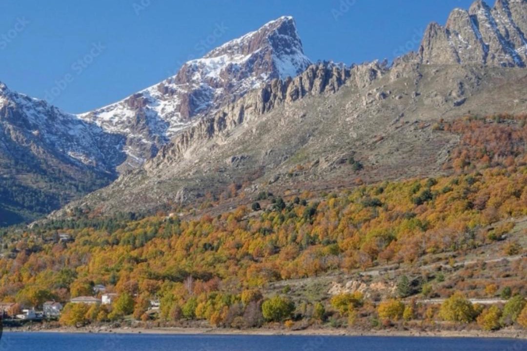 Photo of Others in Albertacce