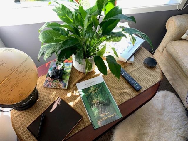 Photo of Others in Whanganui