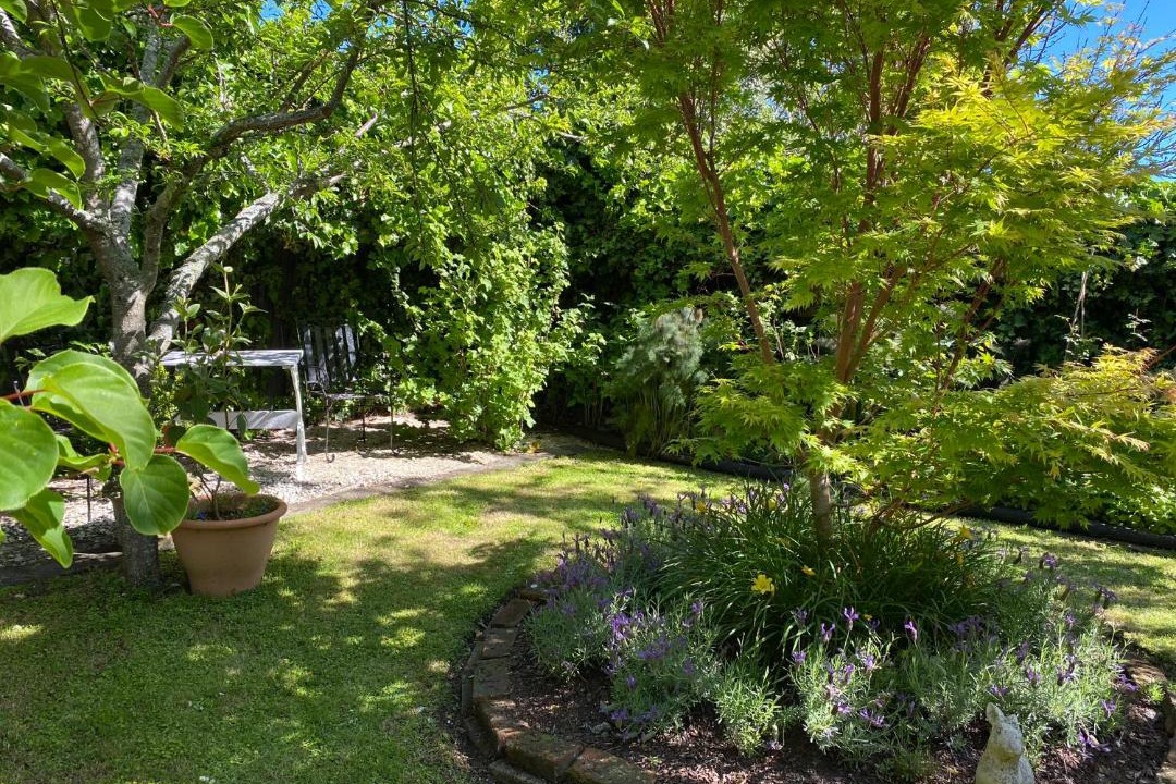 Photo of Others in Patea