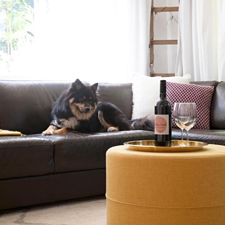 Photo of Livingroom in Hepburn Springs