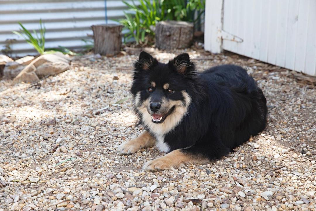 Photo of Others in Hepburn Springs