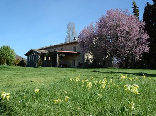 Photo of Others in Castelnau-de-Montmiral