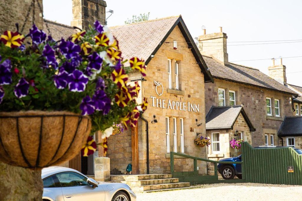 Photo of Others in Belford