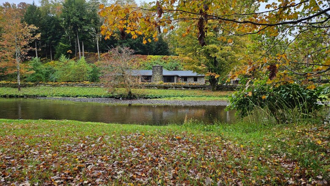 Photo of Others in Livingston Manor