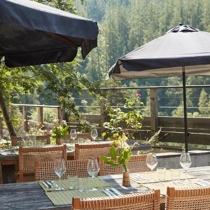 Photo of Others in Belvedere