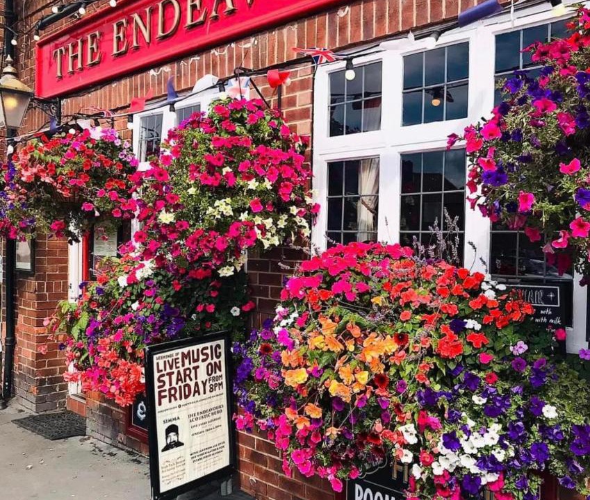 Photo of Others in Whitby