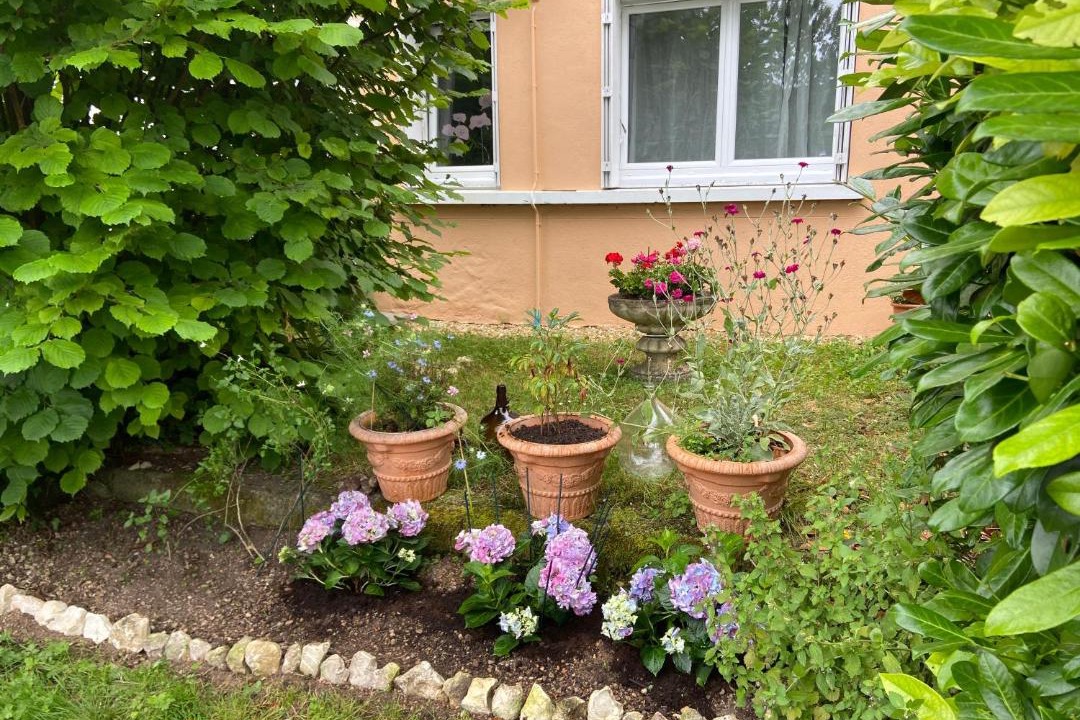 Photo of Others in Saint-Astier