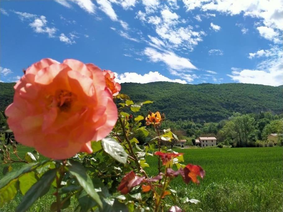 Photo of Others in Hostun