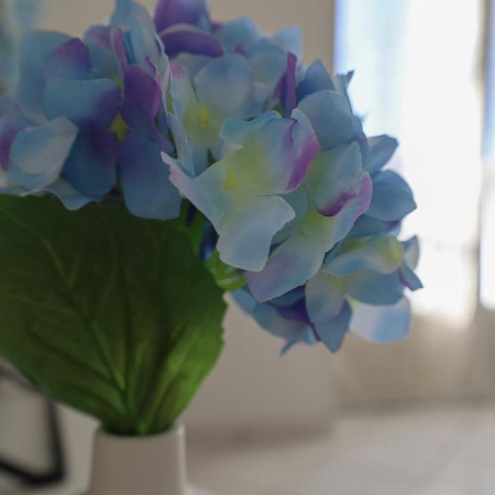 Photo of Others in Loyettes