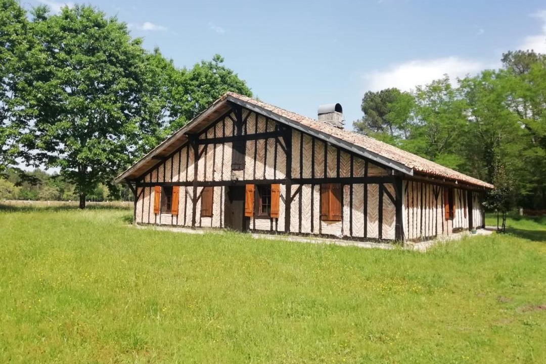 Photo of Others in Lesgor