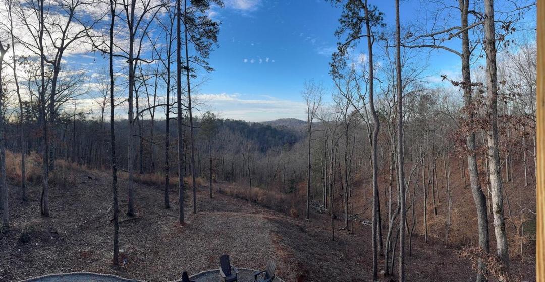Photo of Others in Ellijay