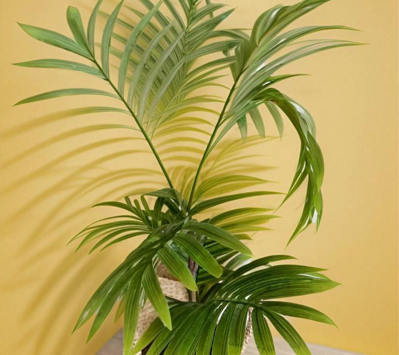 Photo of Others in Montoire-sur-le-Loir