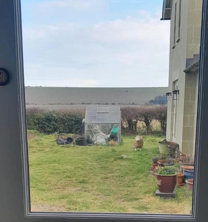 Photo of Others in Swallowcliffe