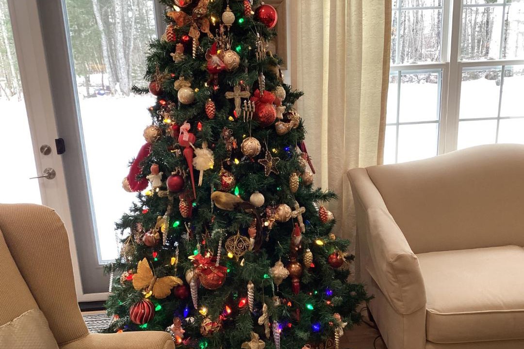 Photo of Others in Middleton