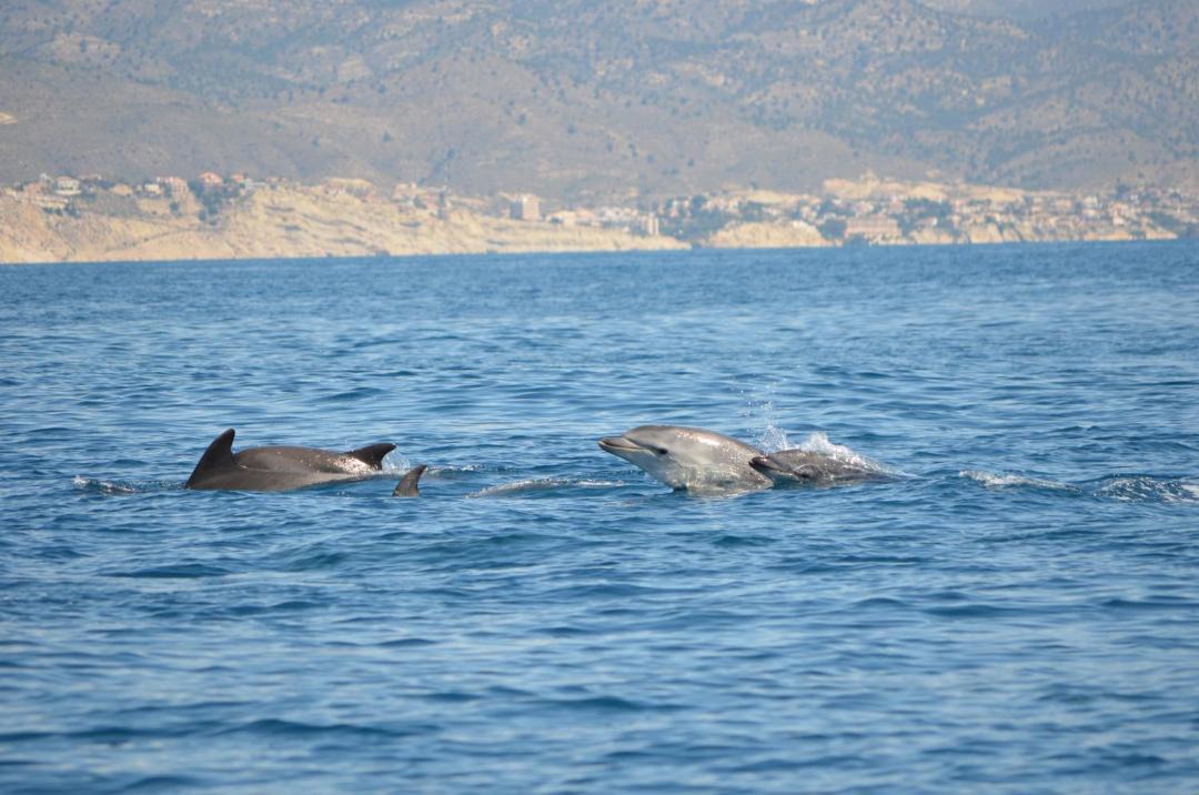 Photo of Others in Coveta Fuma