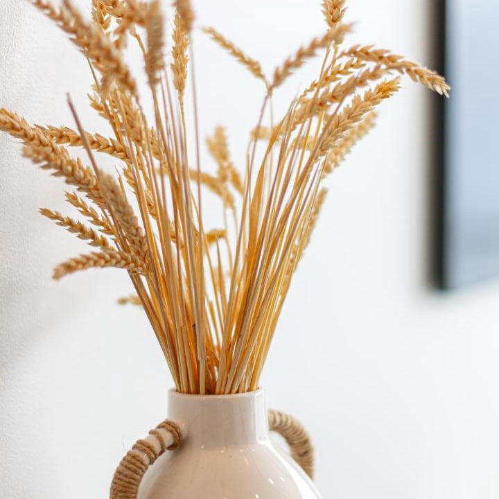 Photo of Others in Tresserve