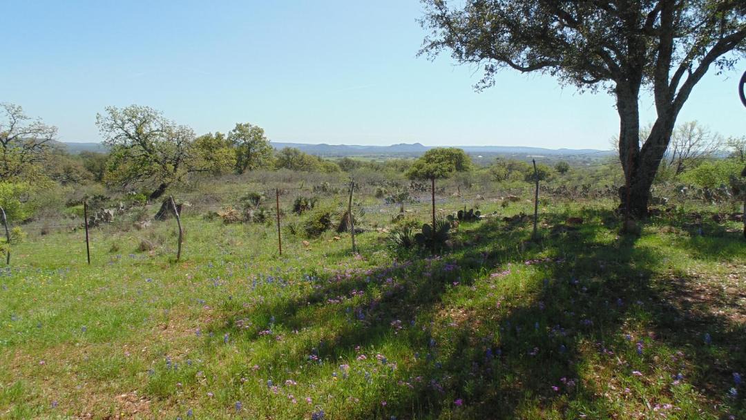 Photo of Others in Llano