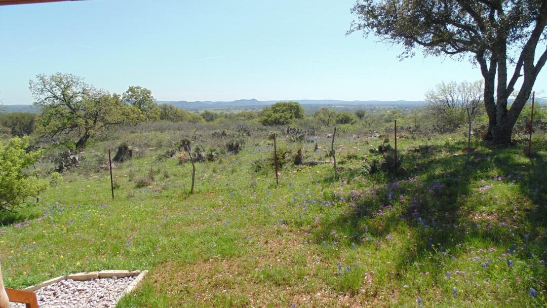 Photo of Others in Llano