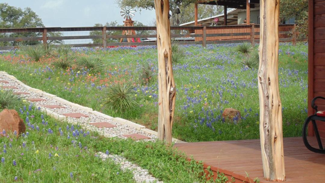 Photo of Others in Llano
