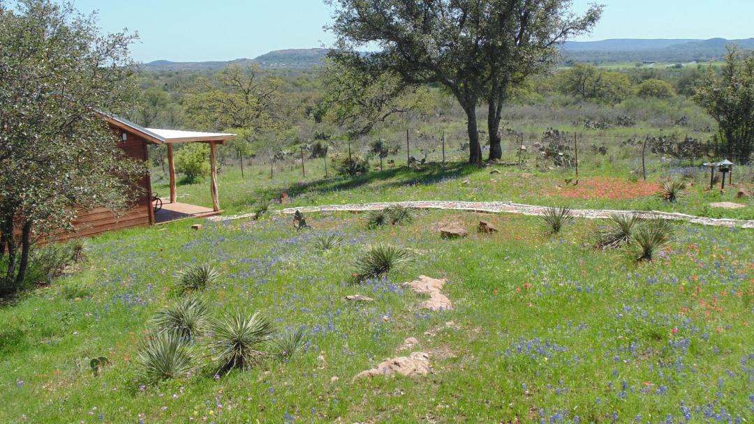 Photo of Others in Llano