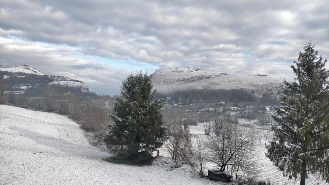 Photo of Others in Segus