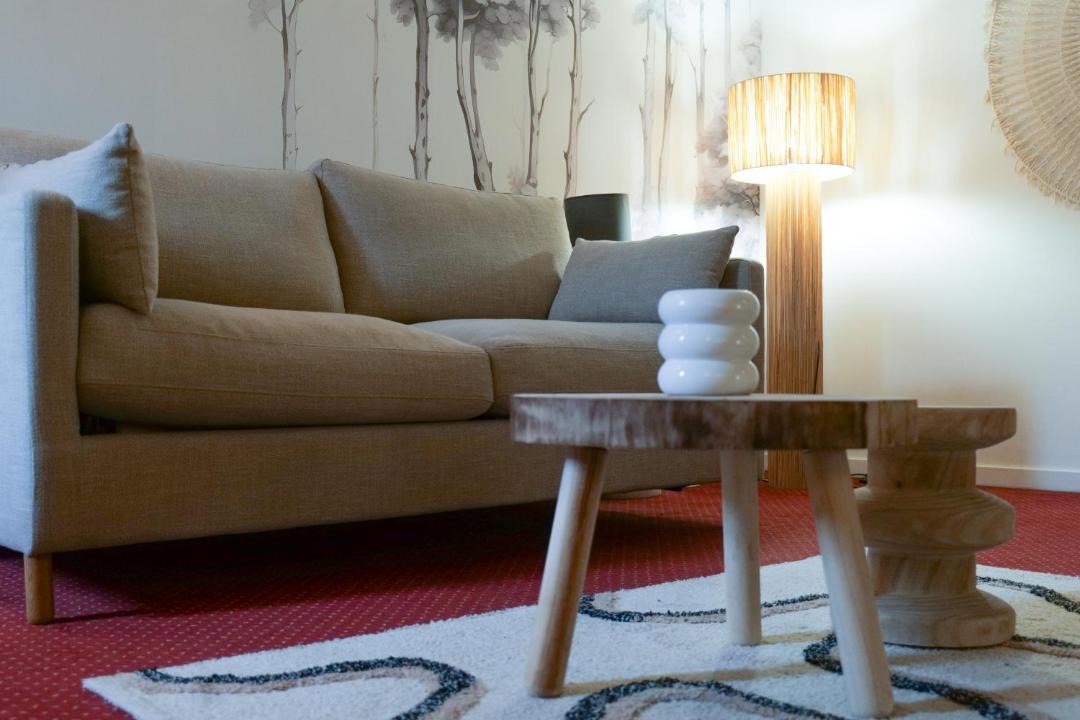 Photo of Livingroom in Downtown Angers