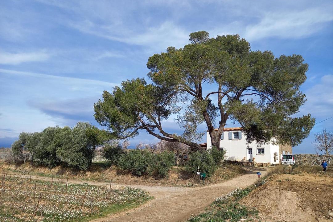 Photo of Others in Rieux-Minervois