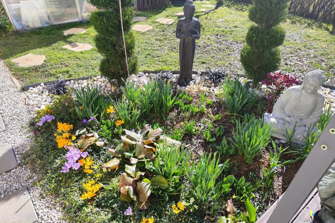 Photo of Others in Autechaux