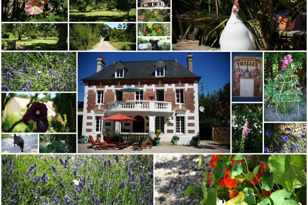 Photo of Others in Saint-Aubin-sur-Scie