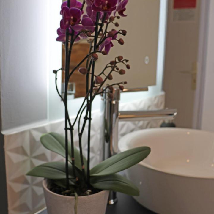 Photo of Bathroom in Saint-Montan
