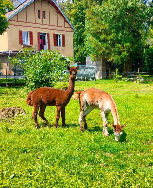 Photo of Others in Maxilly-sur-Saone