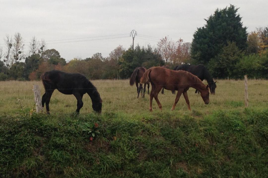 Photo of Others in Sacey