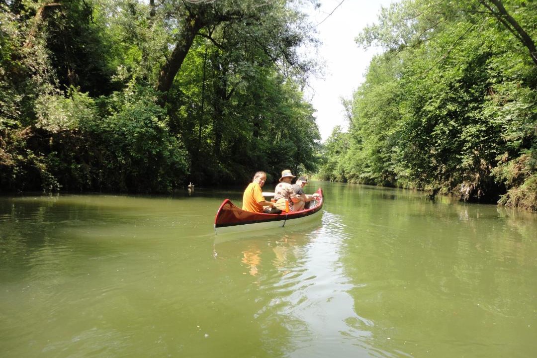 Photo of Others in Oberriet