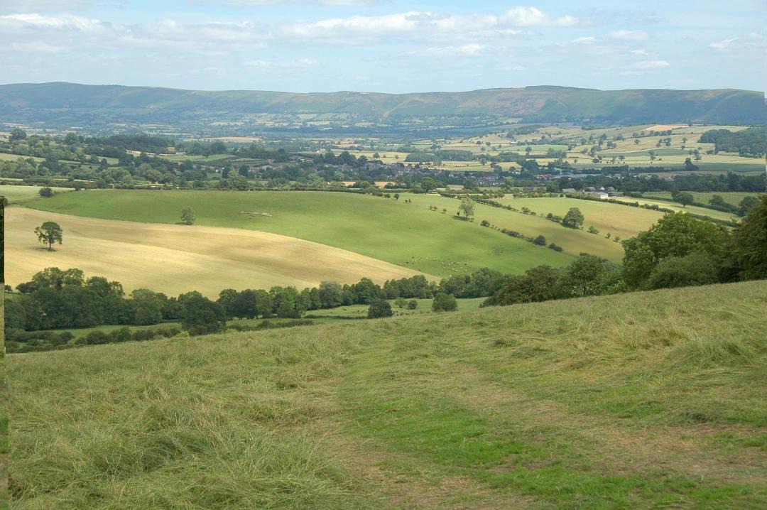 Photo of Others in Bishops Castle