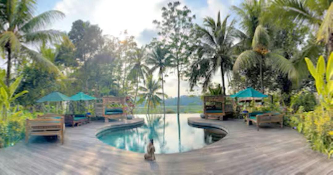 Photo of Others in Ubud
